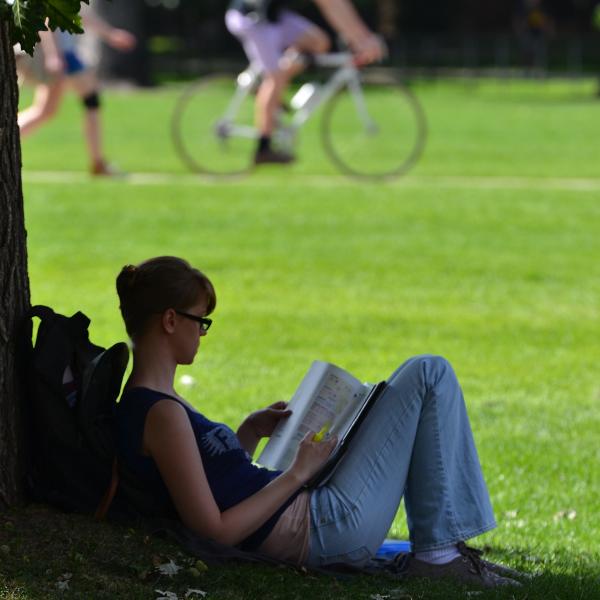 Student studying
