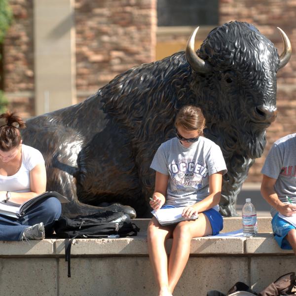 Students studying in front of a buffalo statue
