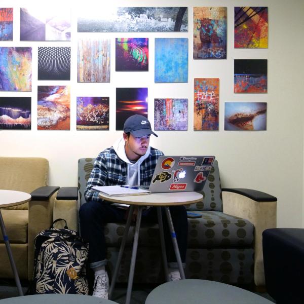 Student studying on campus
