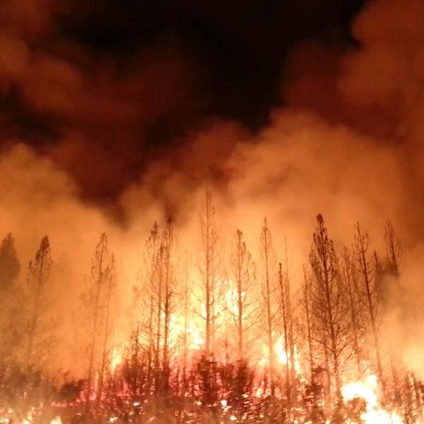 Wildfire