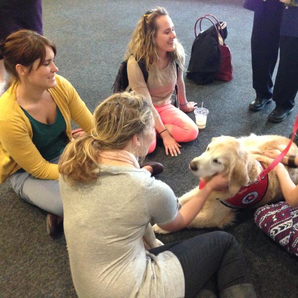 Students visit with therapy dog