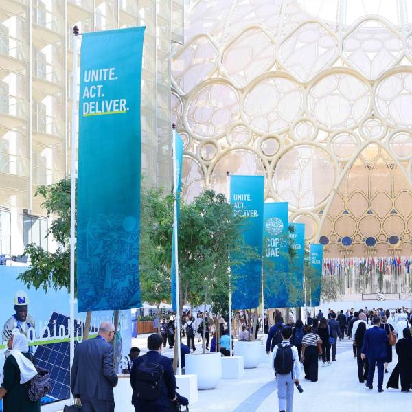 COP28