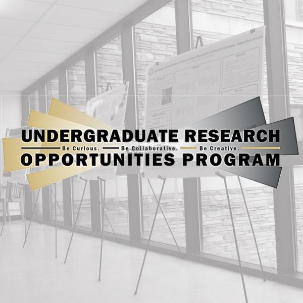 Undergraduate Research Opportunities Program | Be Curious. Be Collaborative. Be Creative.