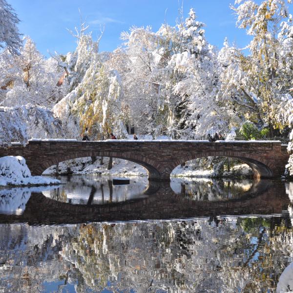 Varsity Bridge in winter