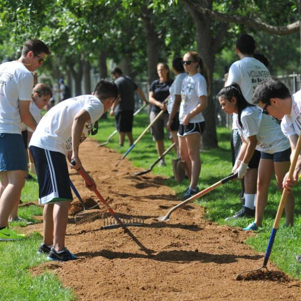 Students volunteering