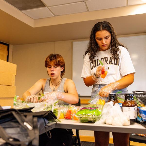 Two students volunteering