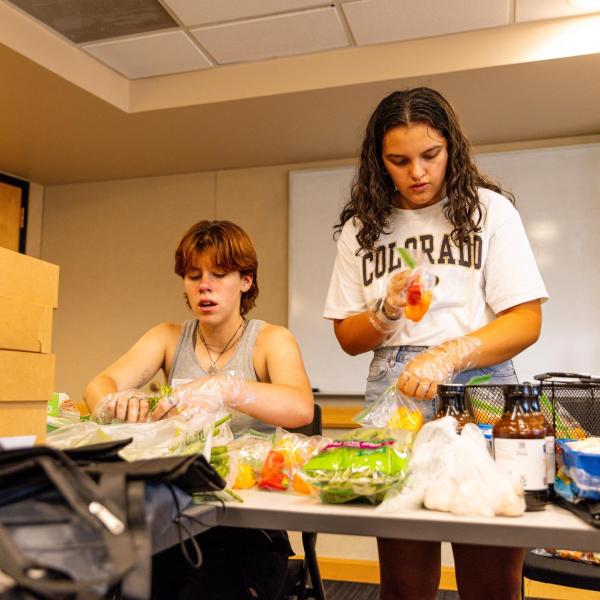 Students volunteering
