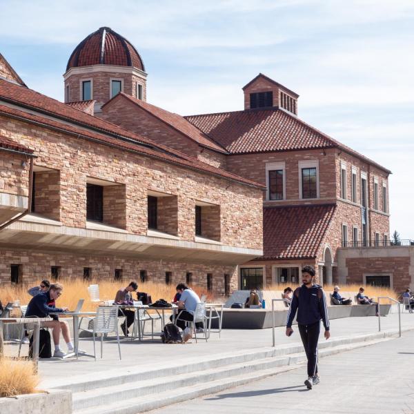 students studying on campus