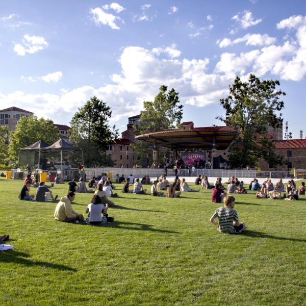 Students watch concert at Welcomefest 2016