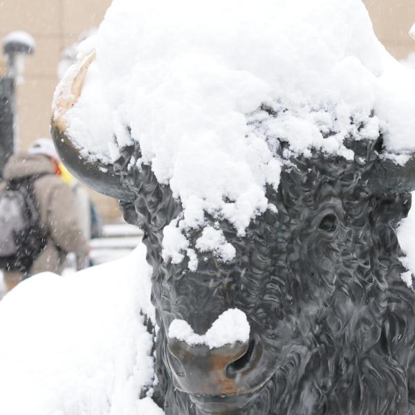 Snow settles on a statue of a Buffalo