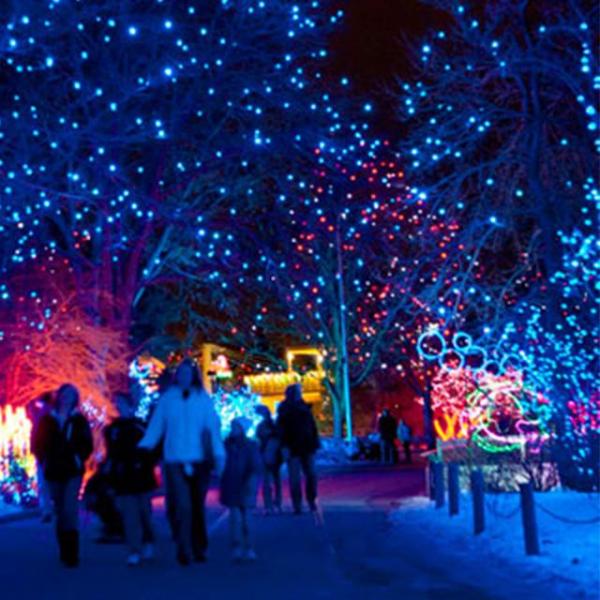 Zoo lights attendees walk at night through the Denver Zoo