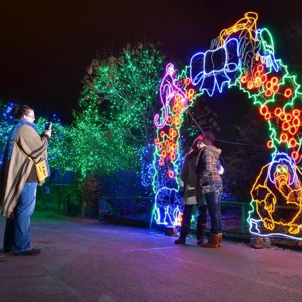 CU Night at Zoo Lights