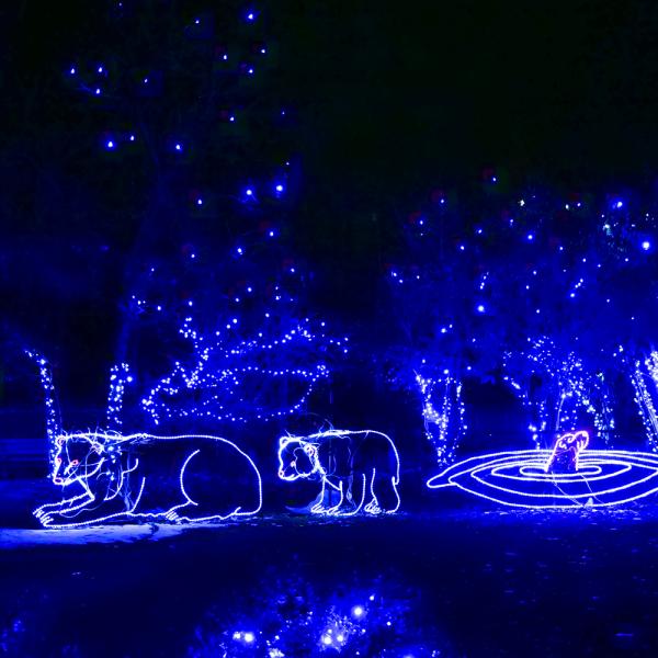 Christmas light polar bears