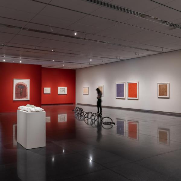 Works from the exhibition Tim Whiten: Tools of Conveyance at the CU Art Museum.