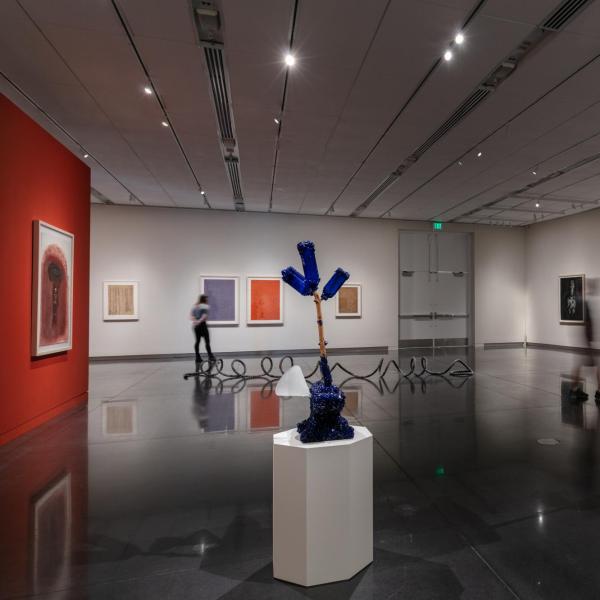 Works from the exhibition Tim Whiten: Tools of Conveyance at the CU Art Museum.