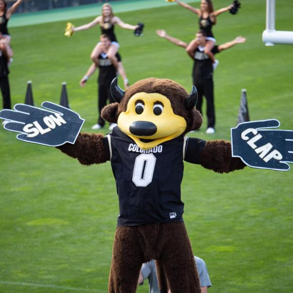 Scenes from the 2019 CU Kickoff at Folsom Field. (Photo by Glenn Asakawa/University of Colorado)