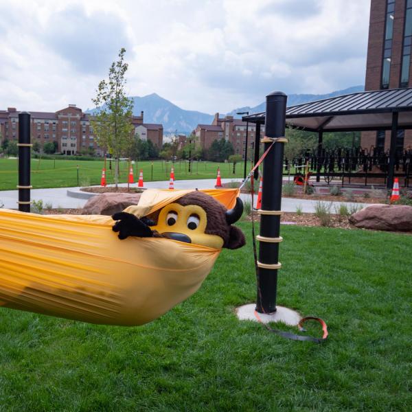 Chip relaxes in a hammock during move-in on Wednesday, Aug. 21, 2019, at Williams Village East. (Photo by Glenn Asakawa/University of Colorado)