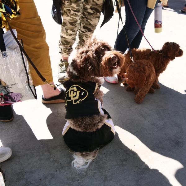 Family Weekend at CU Boulder on October 16, 2021. (Photo by Glenn Asakawa/University of Colorado)