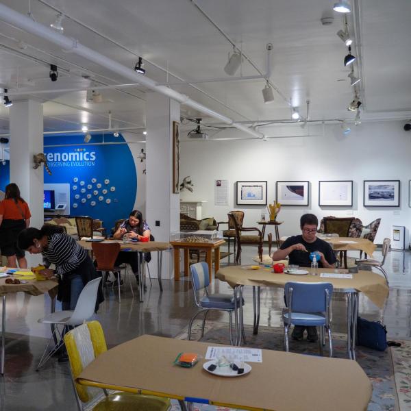 Campus community members participate in an activity in the CU Museum of Natural History's BioLounge