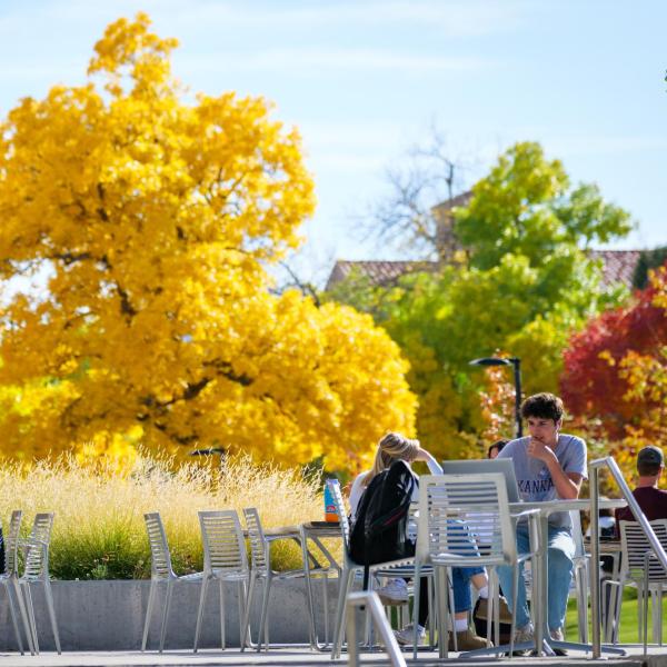 Students studying outdoors with golden fall leaves in the background