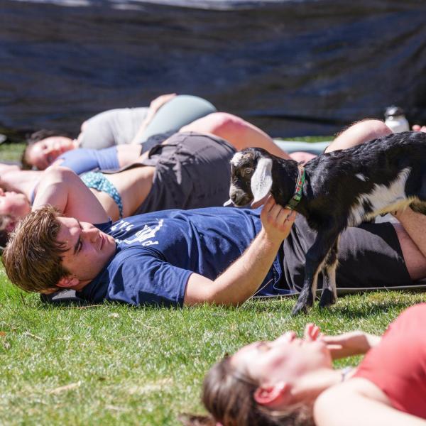 A yoga class participant pets a goat. (Photo by Glenn J. Asakawa/University of Colorado)