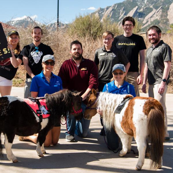 Love Bug and Happy Times, American miniature horses from McNicholas Miniatures, visit campus in support of the CU Equestrian Team, to raise awareness of the club, and provide a mental health break. (Zach Ornitz/University of Colorado)