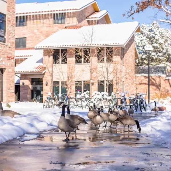 Snowy campus on Monday. Photo by Patrick Wine.