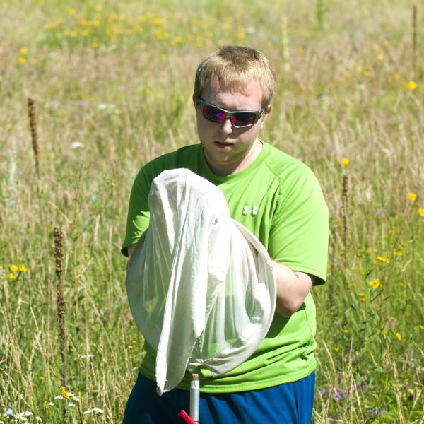 A student looks at a bumble be he has caught.