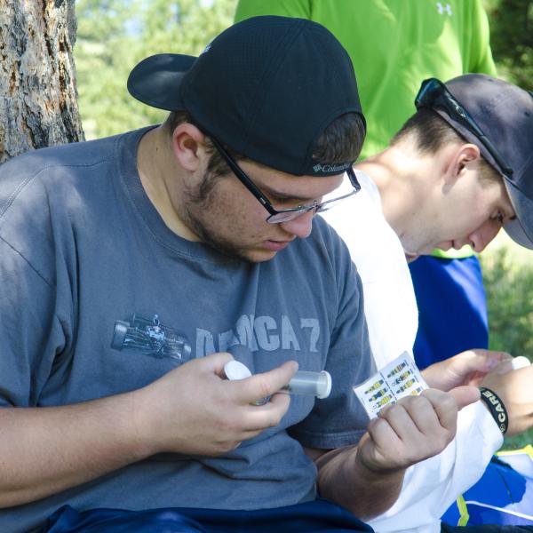 A student uses a guide to identify the type of bumblebee he has caught.