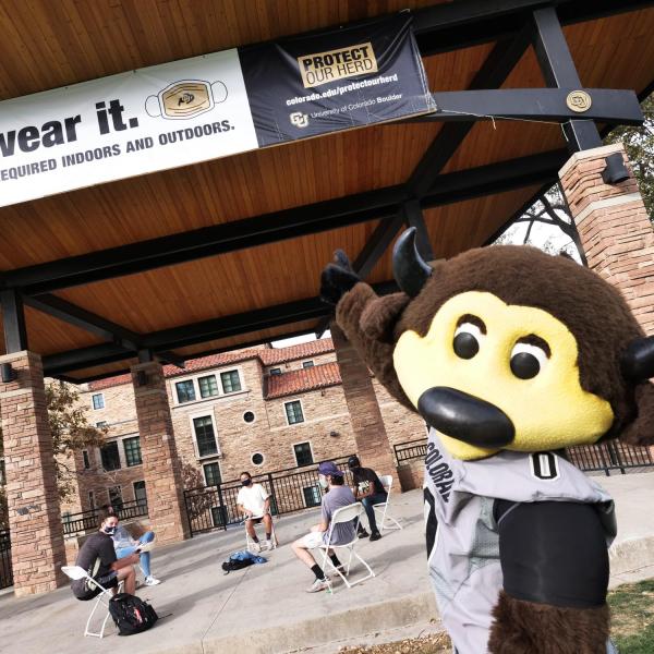 Chip tours the CU Boulder main campus to rally students before the CU’s season-opening football game against UCLA on Saturday, Nov. 7, 2020. (Photo by Casey A. Cass/University of Colorado)
