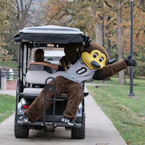 Chip tours the CU Boulder main campus to rally students before the CU’s season-opening football game against UCLA on Saturday, Nov. 7, 2020. (Photo by Casey A. Cass/University of Colorado)