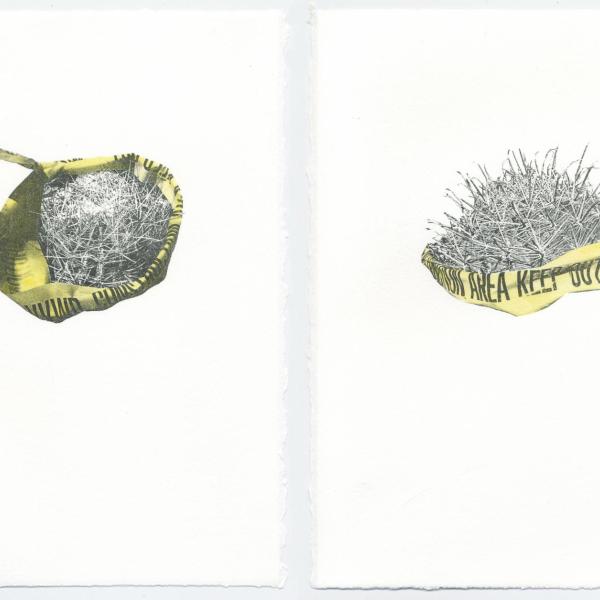 "Cacti employ myriad strategies to protect themselves and their resources from heat, drought, and predators, but are ultimately still vulnerable to all three." Summer Ventis, defensible space II and III, 2018.