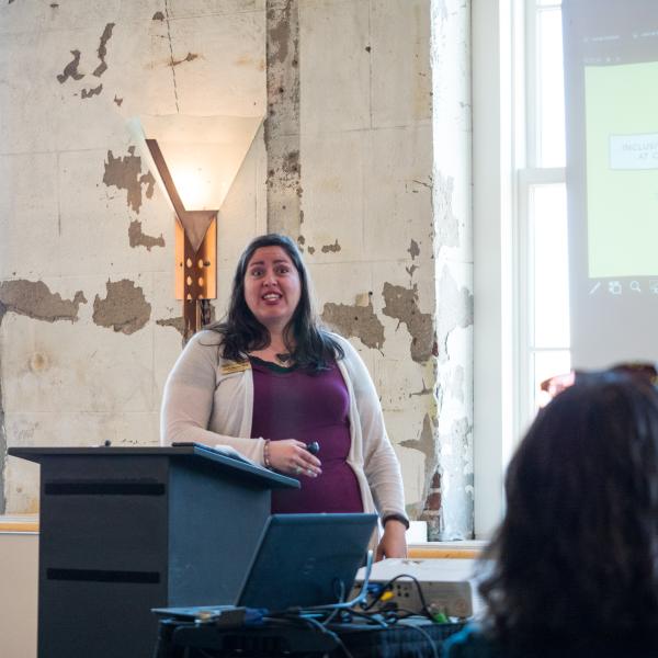 Woman gives presentation at DLAW 2017 session