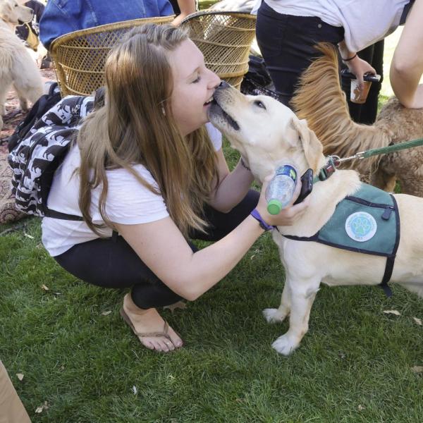 Therapy dog Cooper gets some loving during the Stay and Play Dog Cafe at Norlin Quad