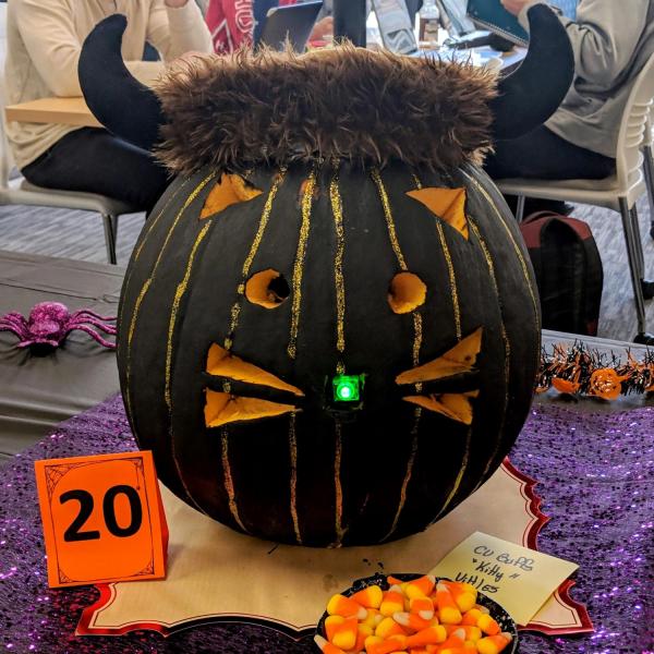 This Buffs kitty pumpkin was one of the entries in the annual engineering college pumpkin carving contest. Photo by Glenn Asakawa.