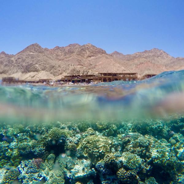 Dahab, Egypt (Photo by Erin Neale)