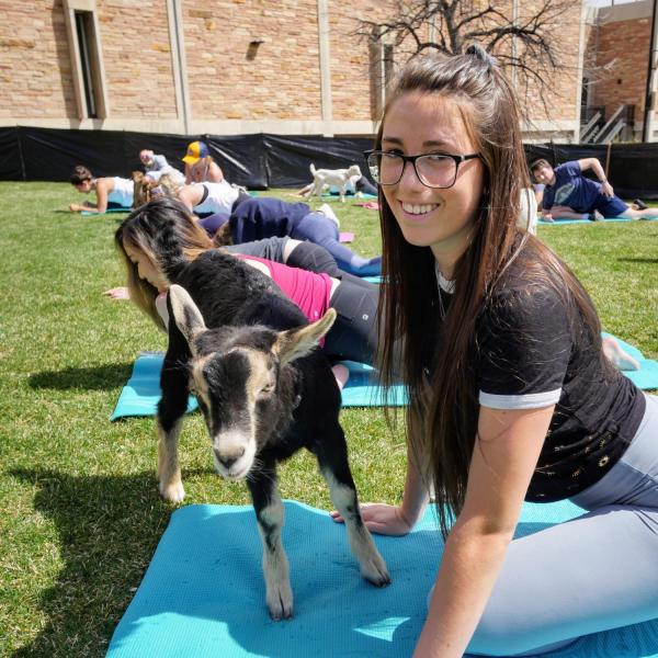 Students enjoy a yoga class on the lawn with baby goats as part of a wellness initiative from the Rec Center Fitness & Wellness and Mountain Flower Goat Dairy. Photo by Glenn Asakawa.