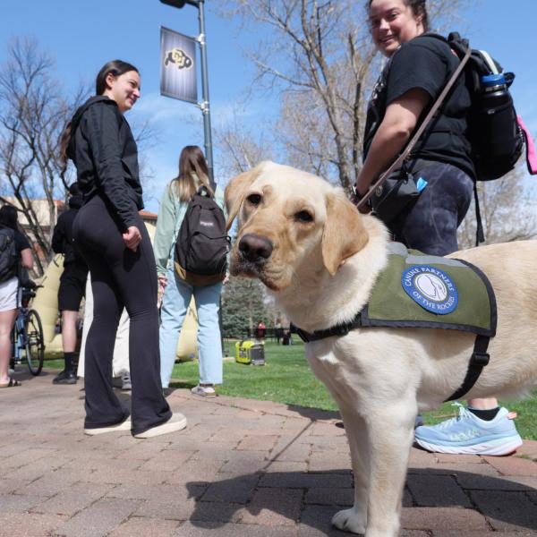 Graduating students and service-dog-in-training Juniper line up for free burritos.