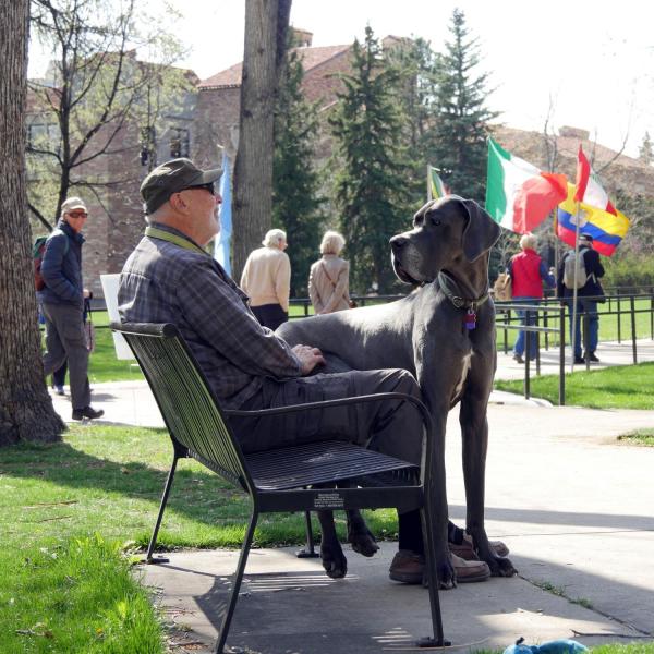 Man and great dane dog watch the annual Conference on World Affairs procession