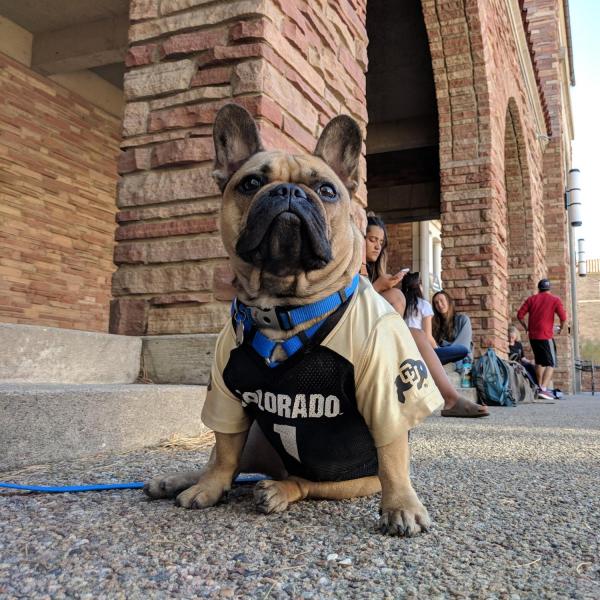 @rudy.frenchbully was on campus during Homecoming