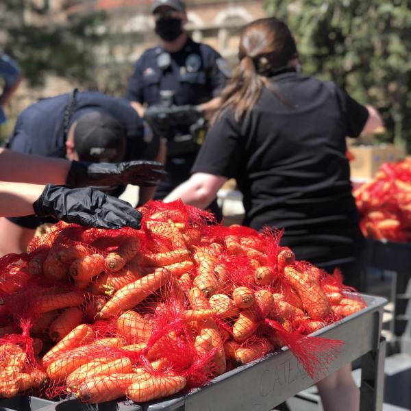 Workers unload and deliver food at a mobile food pantry on the CU Boulder campus. (Photos courtesy of CUPD and Volunteer Resource Center)