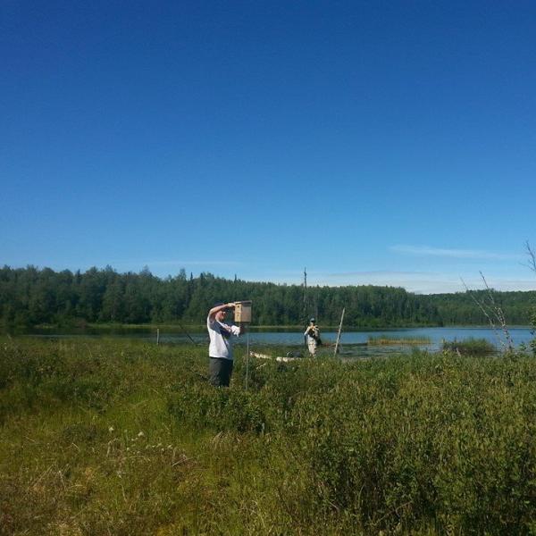 Rachel Irons checks a tree swallow nest box. (Photo by Lindsay Hermanns.)