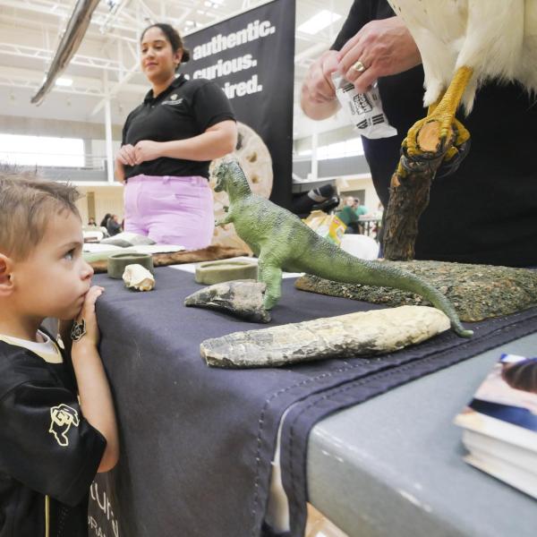 Activity tables were part of Campus Kids Day. (Photo by Casey A. Cass/University of Colorado)