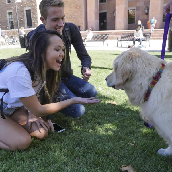 Students pet dog at the first-ever CU Boulder dog café