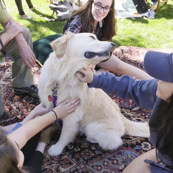 Students pet dog at the first-ever CU Boulder dog café