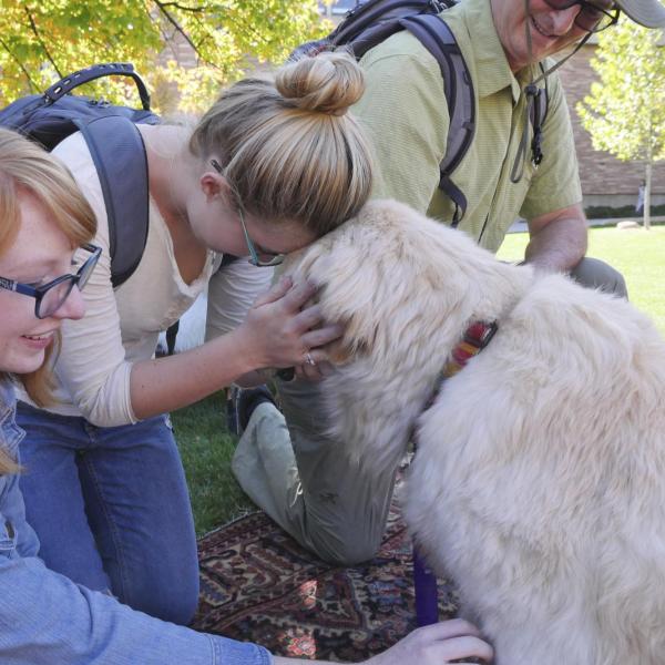 Student pets dog at the first-ever CU Boulder dog café