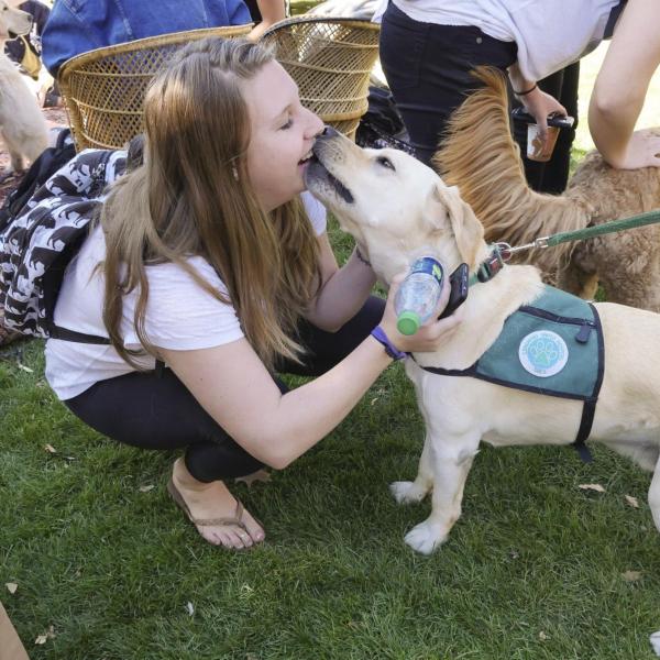 Student pets dog at the first-ever CU Boulder dog café