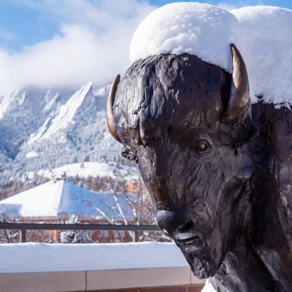Snowy campus on Monday. Photo by Patrick Campbell.