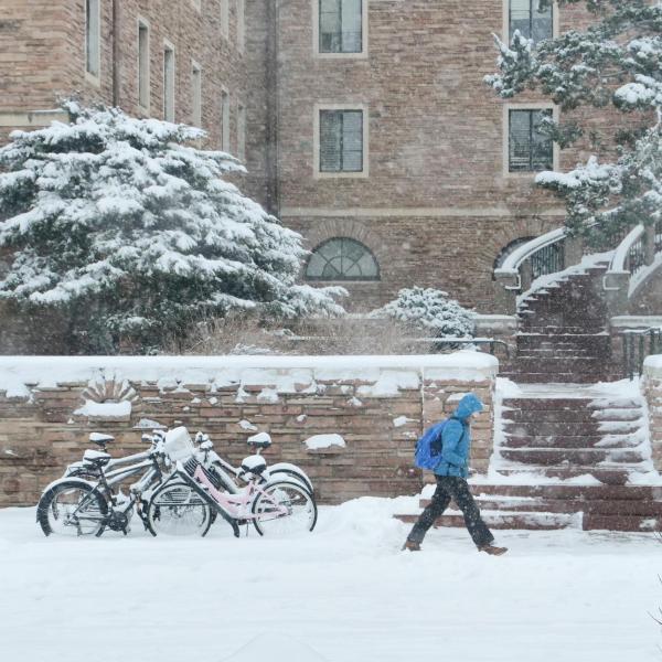 Snow on campus. Photo by Casey A. Cass.