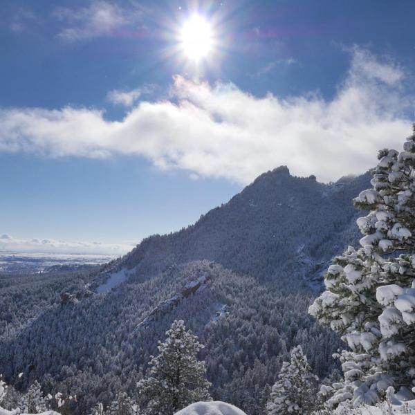 Snowy campus on Monday. Photo by Casey A. Cass.